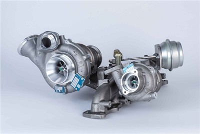 BorgWarner 10009980164 EAN: 4063984003159.
