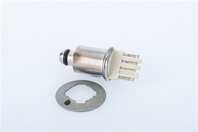 BorgWarner DS120526 EAN: 4063984900786.