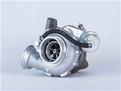 BorgWarner 53169887139