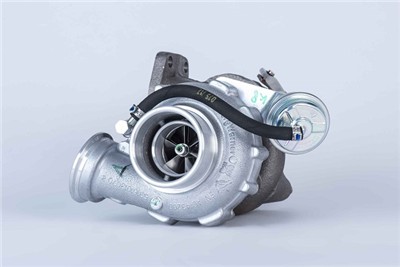 BorgWarner 53169887139 EAN: 4063984000233.
