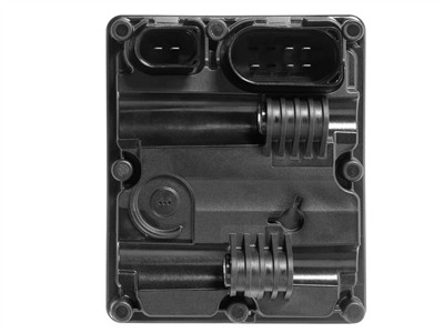 BorgWarner DS2015503 EAN: 4063984903220.