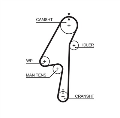 GATES 5580XS Číslo výrobce: 8597-15580. EAN: 5414465285141.