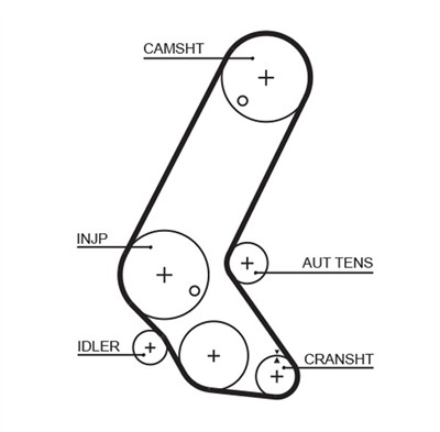 GATES K015595XS Číslo výrobce: 5595XS. EAN: 5414465979071.