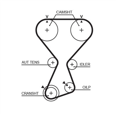 GATES T313 Číslo výrobce: 8595-10653. EAN: 5414465401411.