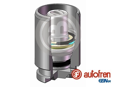 AUTOFREN SEINSA D025116K EAN: 8430320278209.