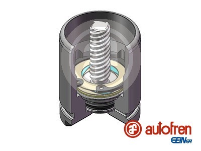 AUTOFREN SEINSA D025529K EAN: 8430320282855.
