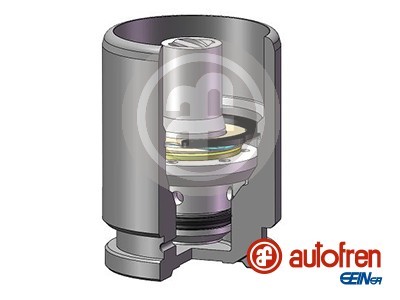 AUTOFREN SEINSA D025667K EAN: 8430320271859.
