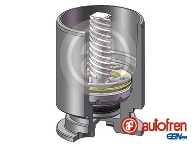 AUTOFREN SEINSA D025777LK EAN: 8430320271767.