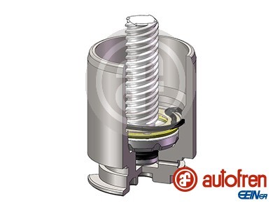 AUTOFREN SEINSA D025422RK EAN: 8430320272658.