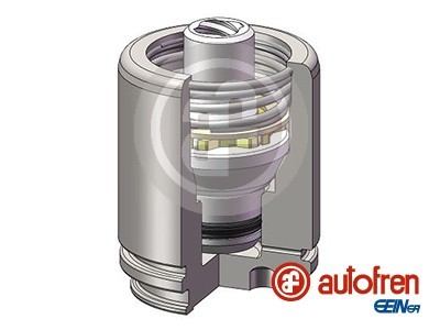 AUTOFREN SEINSA D025558K EAN: 8430320272306.