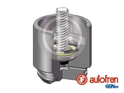 AUTOFREN SEINSA D025691RK EAN: 8430320272214.