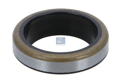 DT Spare Parts 4.20176 EAN: 4047755161118.