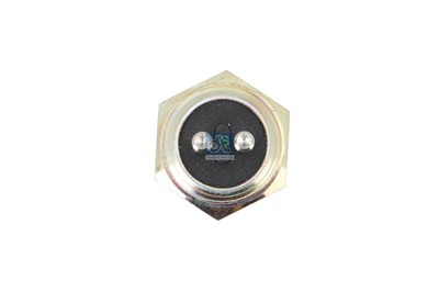 DT Spare Parts 4.60466 EAN: 4047755179496.