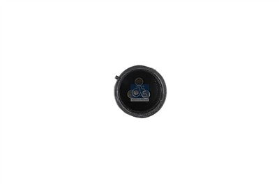 DT Spare Parts 4.63117 EAN: 4057795459618.