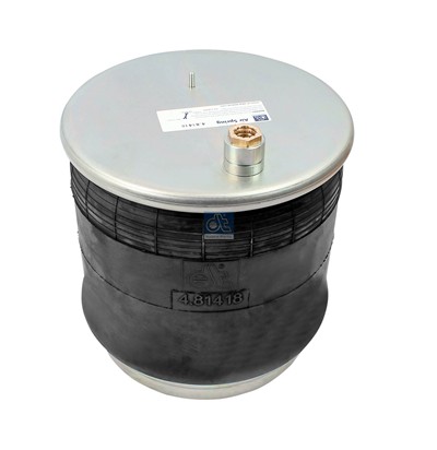 DT Spare Parts 4.81418 Číslo výrobce: 6126 N P41. EAN: 4057795267992.