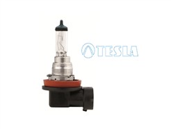TESLA B11601