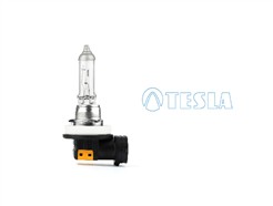 TESLA B30801
