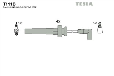 TESLA T111B EAN: 8595141021561.