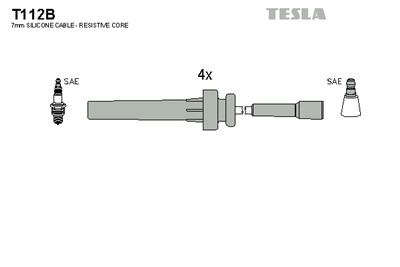 TESLA T112B EAN: 8595141021578.
