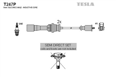 TESLA T247P EAN: 8595141022384.