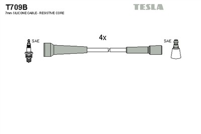 TESLA T709B EAN: 8595141005899.