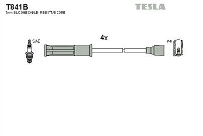 TESLA T841B EAN: 8595141012576.