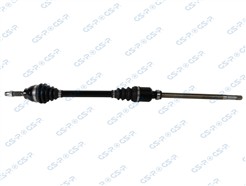 GSP 210325OL