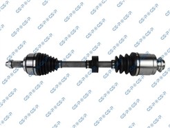 GSP 223165