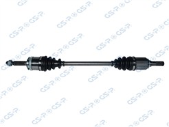 GSP 239191