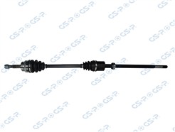 GSP 250366