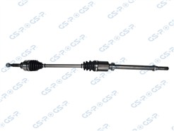 GSP 250593