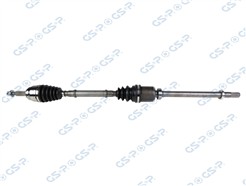 GSP 250596