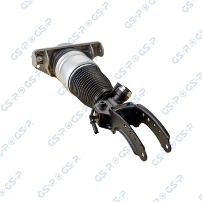 GSP 30900131 EAN: 6942210930958.