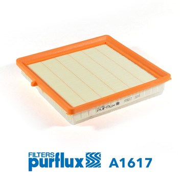 PURFLUX A1617 EAN: 3286062016174.