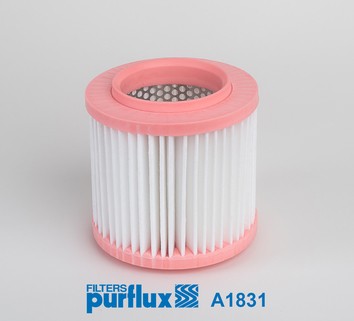 PURFLUX A1831 EAN: 3286062018314.