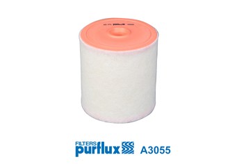 PURFLUX A3055 EAN: 3286062030552.