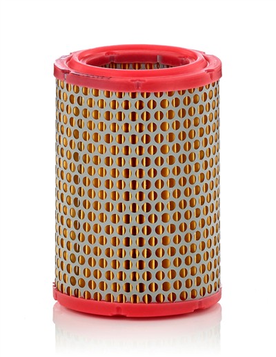 MANN-FILTER C 1134/1 EAN: 4011558103200.