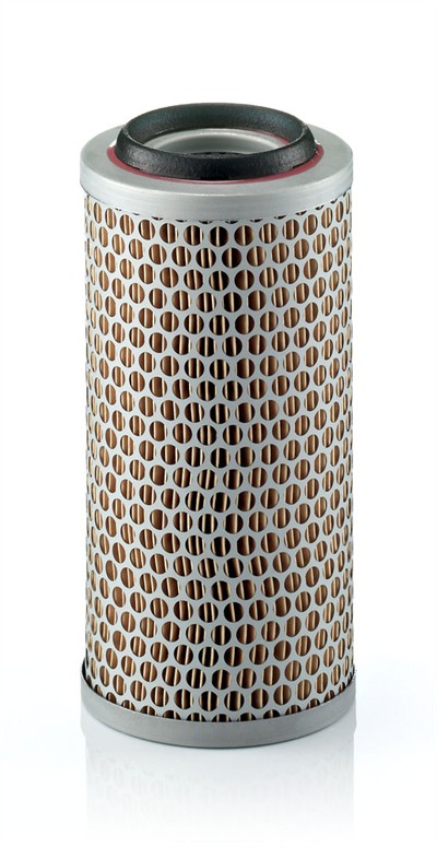 MANN-FILTER C 1176/3 EAN: 4011558103606.