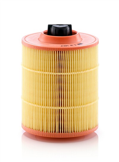 MANN-FILTER C 16 142/2 EAN: 4011558038915.