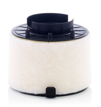 MANN-FILTER C 17 009 EAN: 4011558093440.