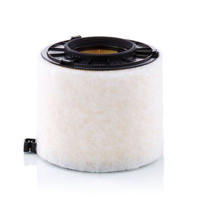 MANN-FILTER C 17 010 EAN: 4011558071035.