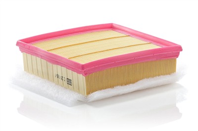 MANN-FILTER C 20 106/1 EAN: 4011558389406.