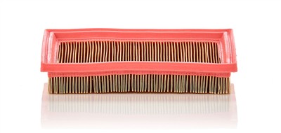 MANN-FILTER C 2244 EAN: 4011558359904.