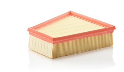 MANN-FILTER C 2295/2 EAN: 4011558200800.