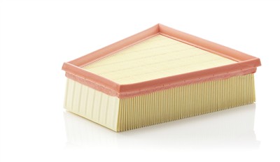 MANN-FILTER C 2295/2 EAN: 4011558200800.