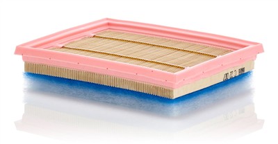MANN-FILTER C 22 007 EAN: 4011558019075.