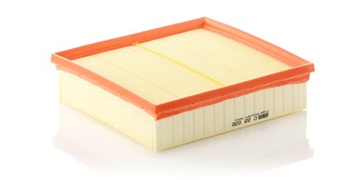 MANN-FILTER C 22 020 EAN: 4011558030100.