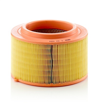 MANN-FILTER C 22 024 EAN: 4011558069742.