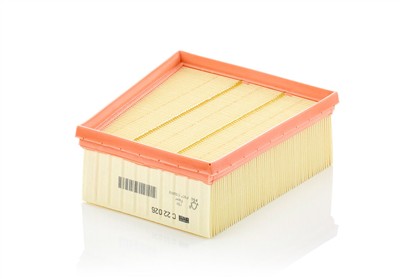 MANN-FILTER C 22 026 EAN: 4011558073893.