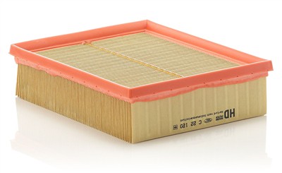 MANN-FILTER C 22 120 EAN: 4011558153601.